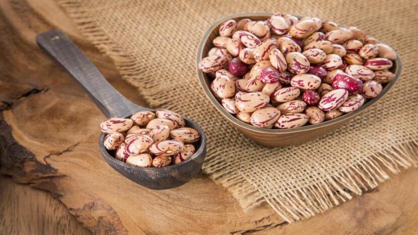 واردات لوبیا چیتی ازبکستان